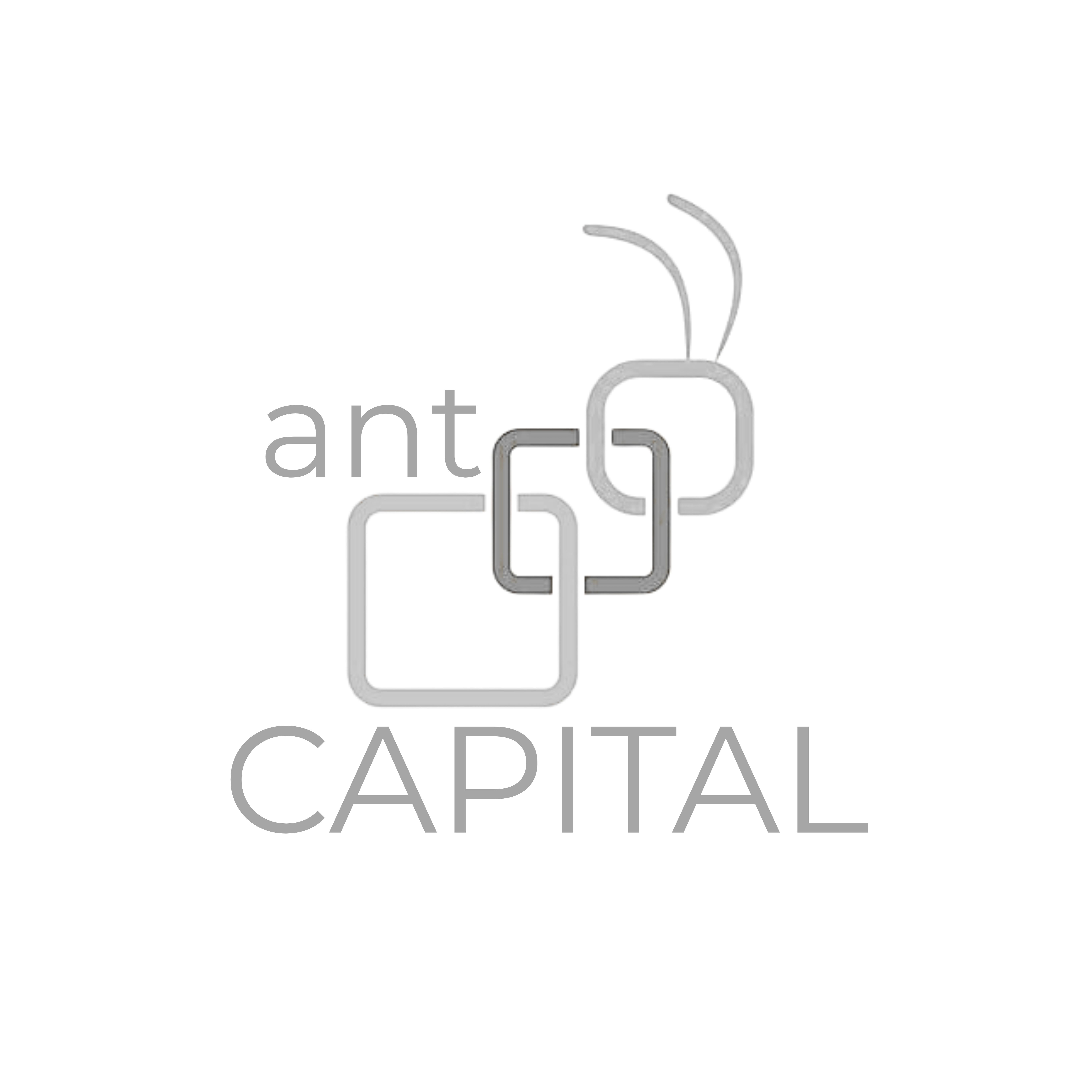 ANT Capital